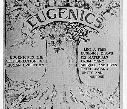 Illustration of a tree draped with a banner that reads "EUGENICS." The roots of the tree have the names of various disciplines on them, e.g. genetics, genealogy, biology, history.