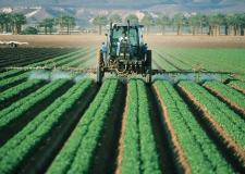 Landscape photo of an agricultural field. In the middle of the green field, there is a tractor.