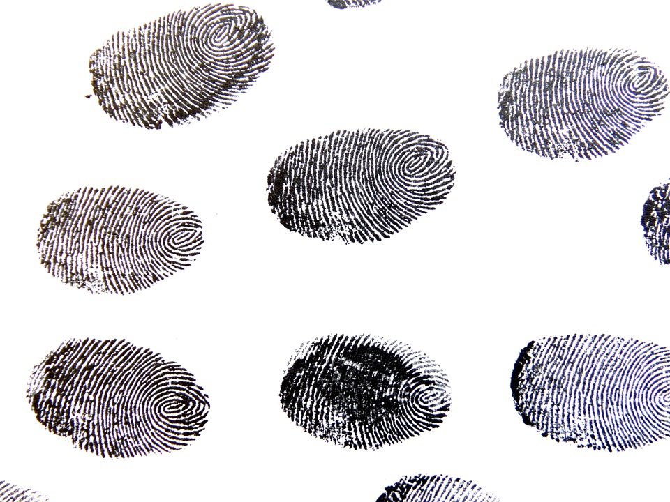 Several fingerprints stamped on a white background
