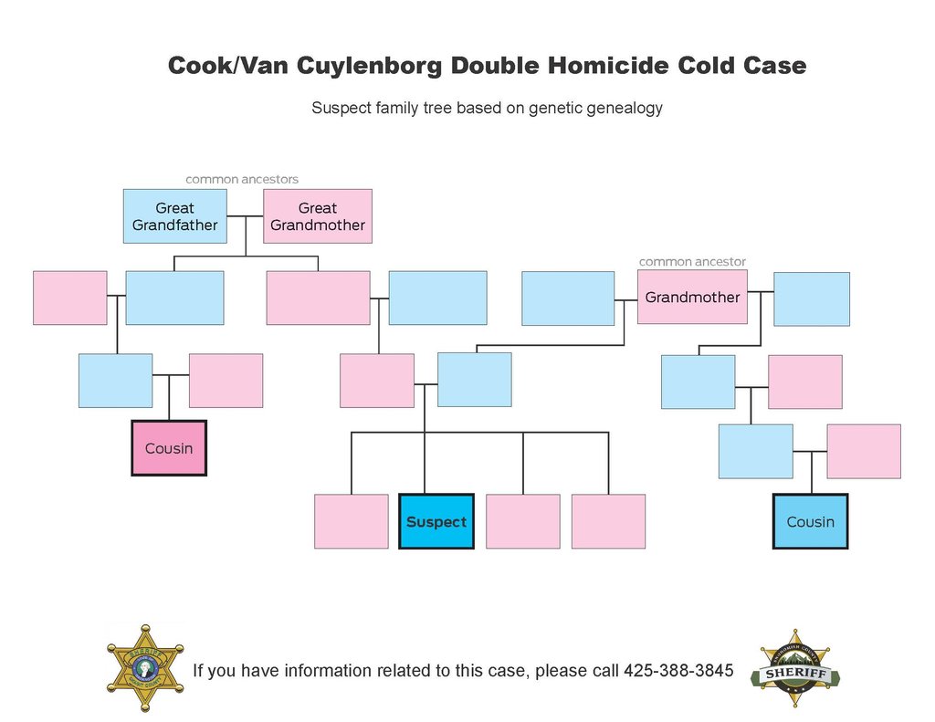 A genealogy chart made up of pink and blue rectangles used by Snohomish County Sheriff to identify suspect in 1987 murder case.