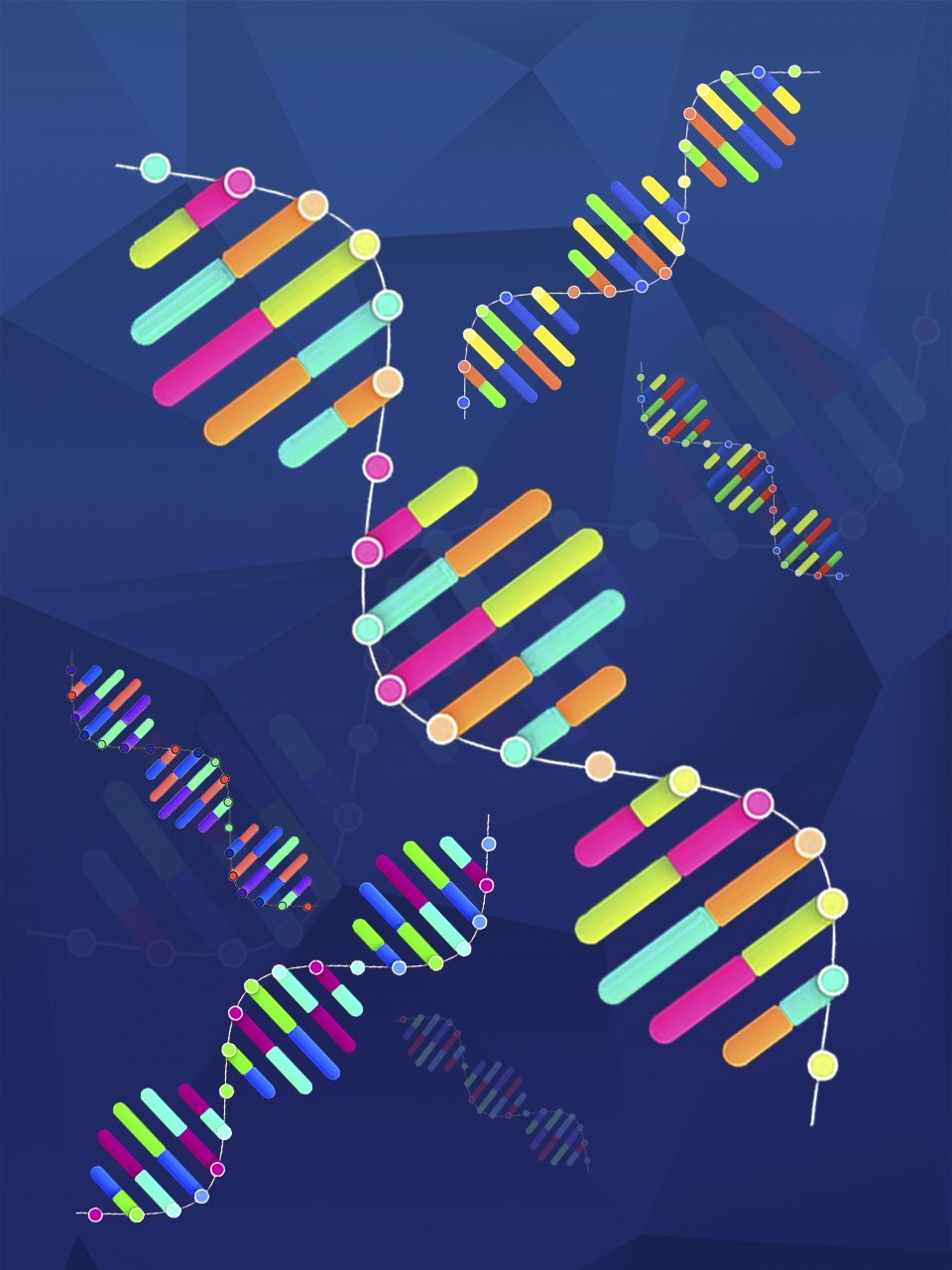 multicolored dna strands