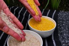 two bowls of rice, one white one golden