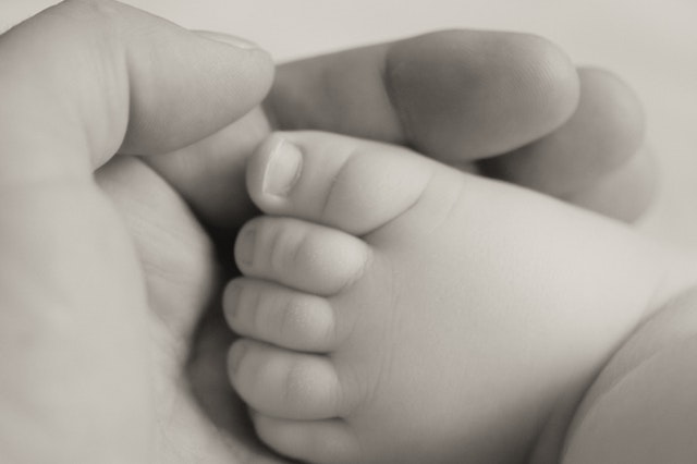 Gray scale photo of an adult hand holding baby's foot.