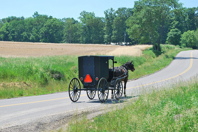A black buggy pulled by a horse on a road with green fields on either side