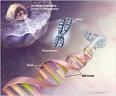 Illustrative image of a double helic with a chromosome.