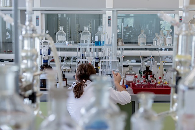 An individual crouches down on a lab counter to get a better look at the sample at hand.