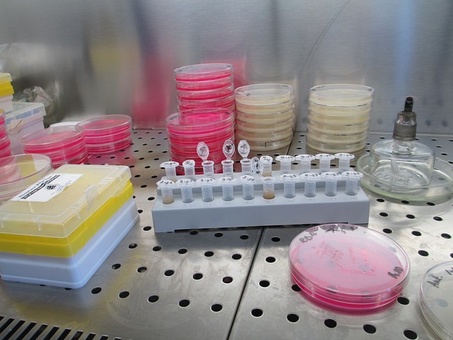 An isolated lab station, which has several containers, lab equipment, test tubes, and petri dishes in stacks.