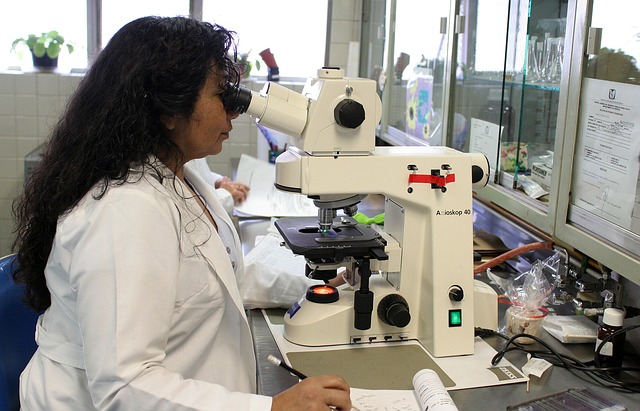 A laboratory scientist, looks into a microscope.