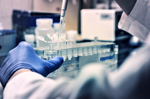 Lab technician pipettes fluid into small flasks.