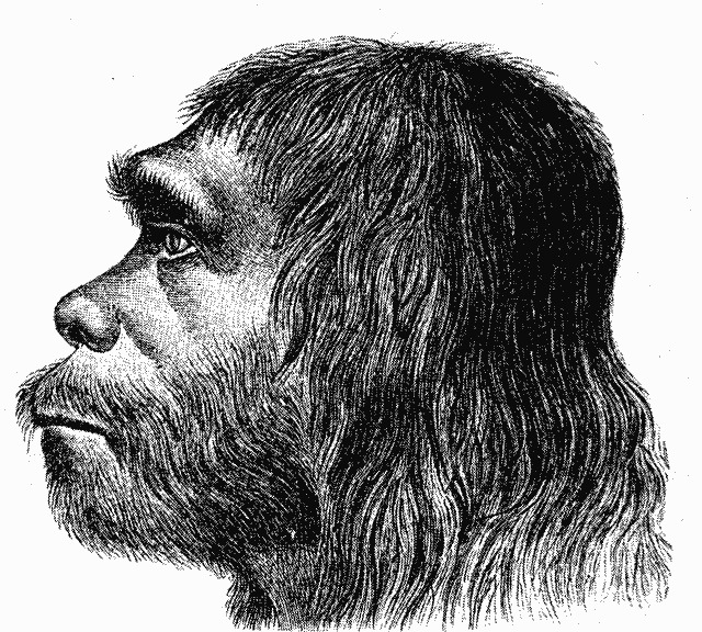 Black and white engraving of a neanderthal profile.