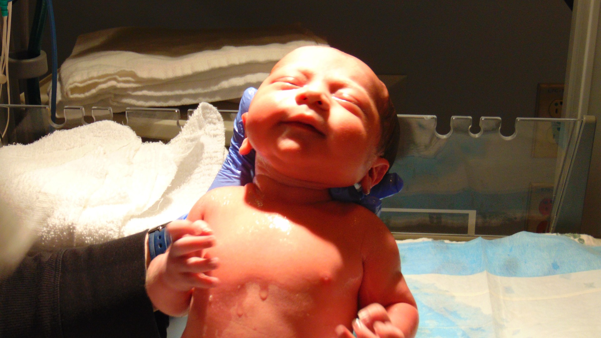 New born being held in doctor's hands. 