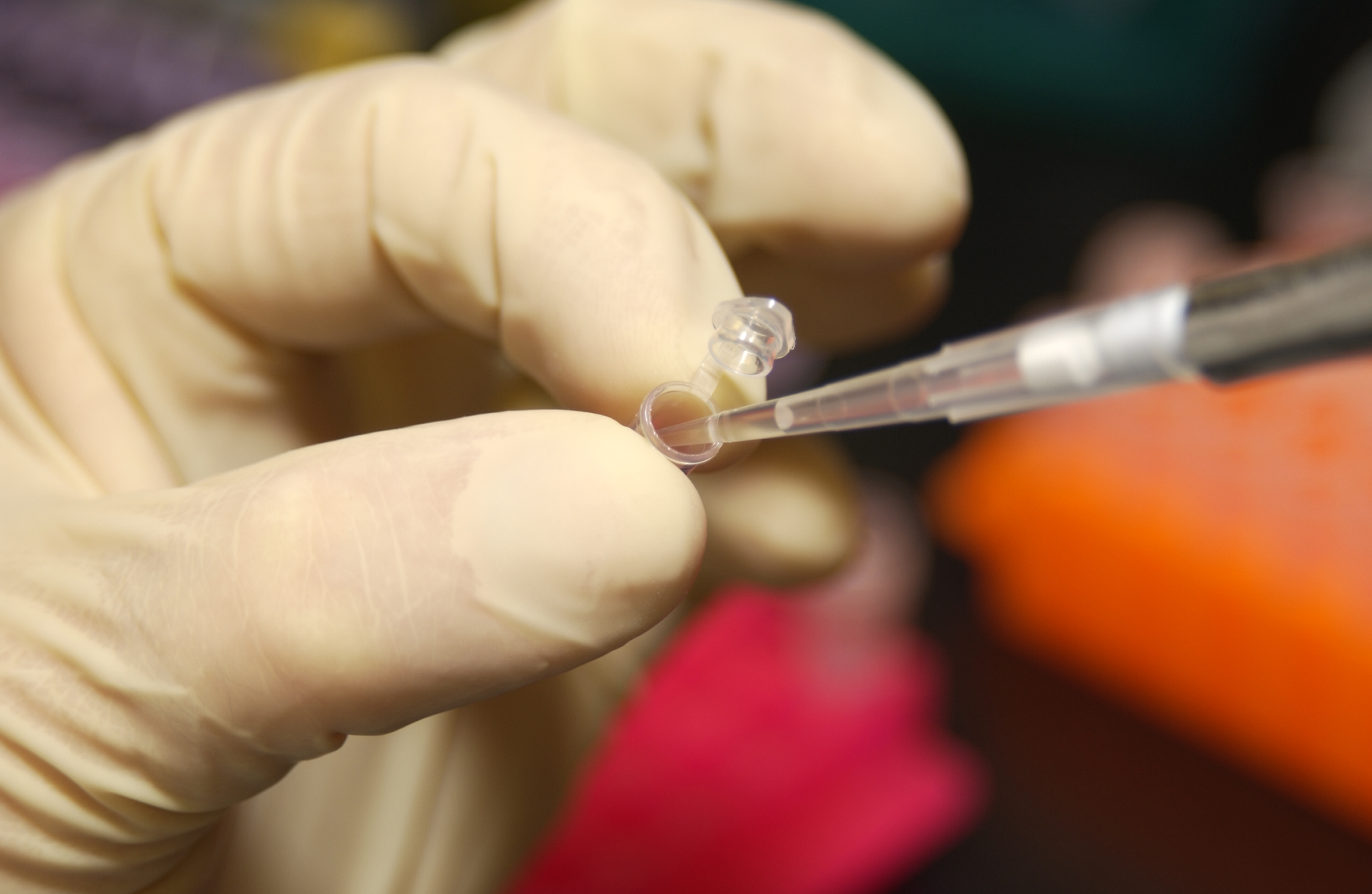 A laboratory scientist uses s a gloved hand to insert a pipette to remove DNA liquid in micro test tube.