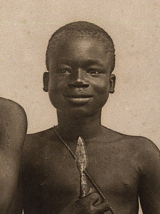 Racist Incident From Bronx Zoo’s Past Draws Apology | Center for