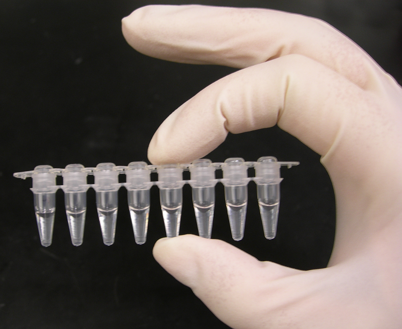 A gloved hand holds several connected test tubes filled with clear liquid.