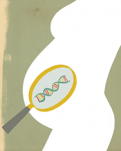 a magnifying glass over a silhouette of a pregnant stomach showing a dna helix