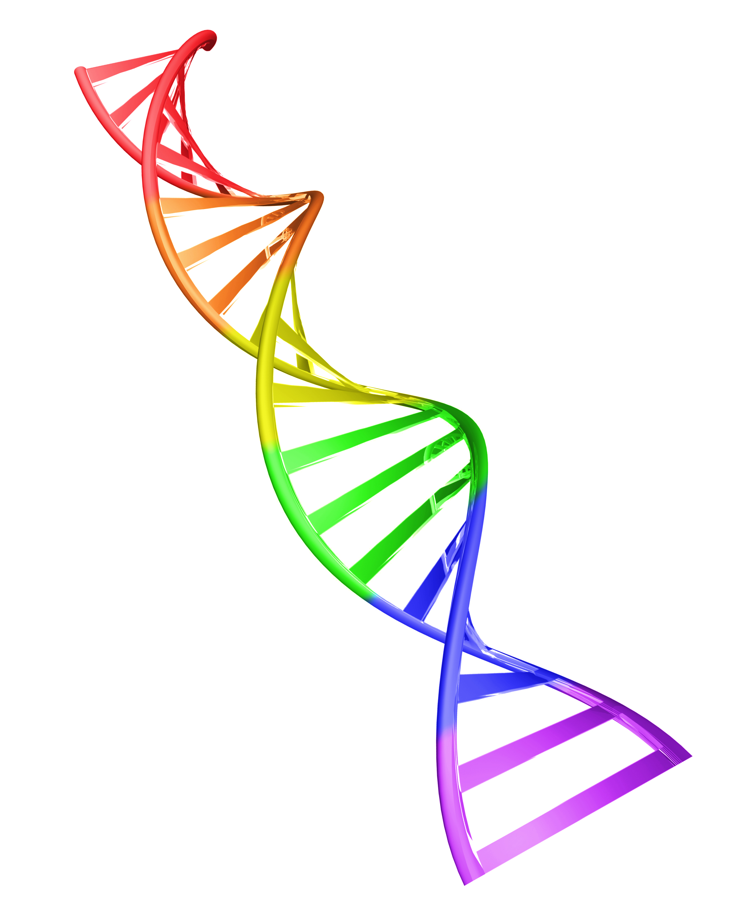 Rainbow double helix