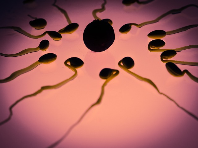 Representation of sperm surrounding an egg on a pink background