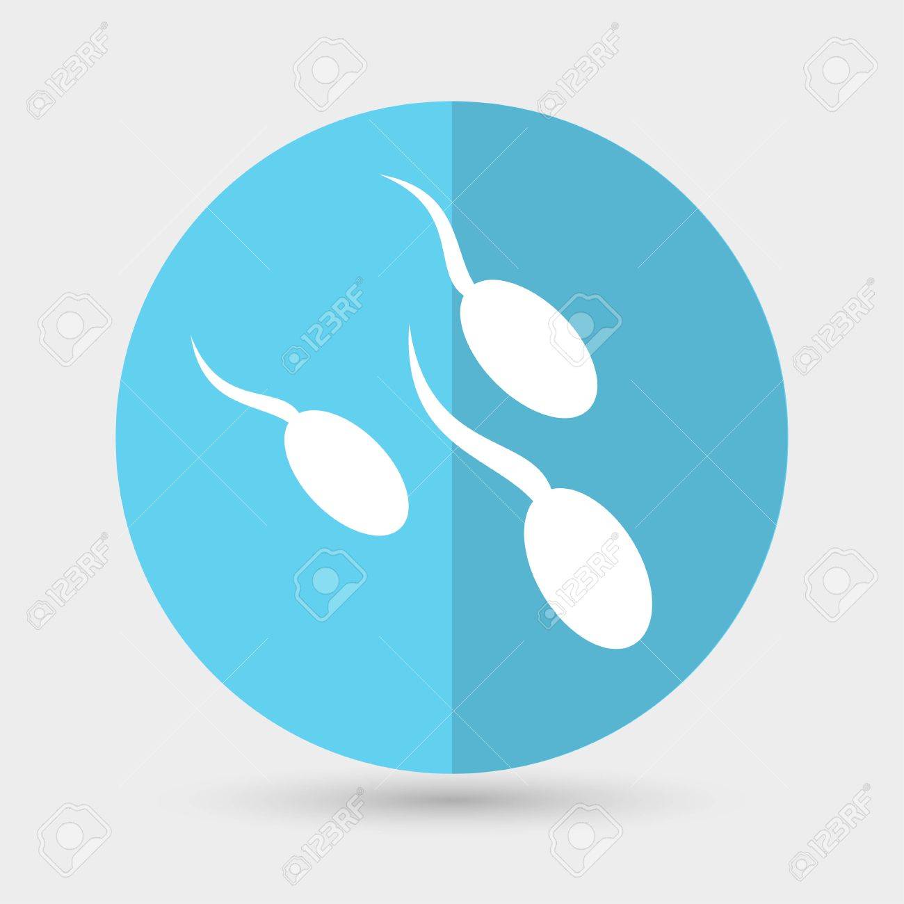Drawing of sperm
