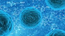 Blue human stem cell