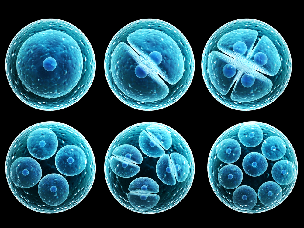 six blue cells on a black background showcasing the process of division starting with a single cell in the upper left and doubling each time.