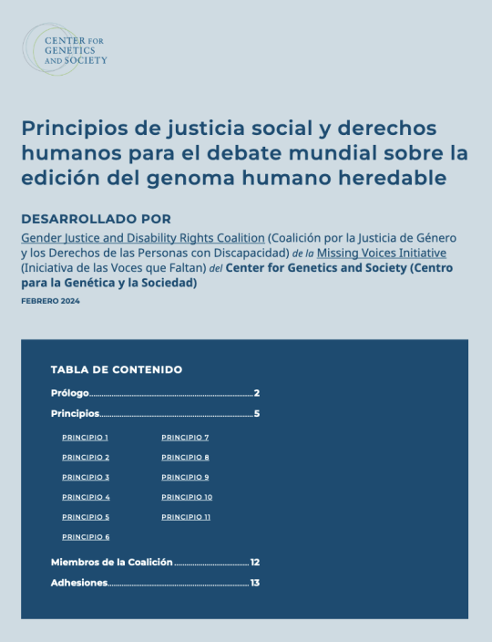 Thumbnail of Principles document, blue text on pale blue background