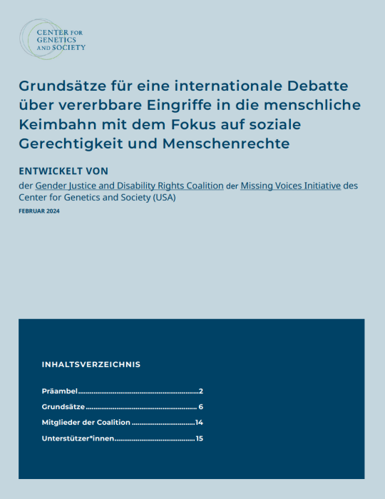 Thumbnail of Principles document, blue text on pale blue background