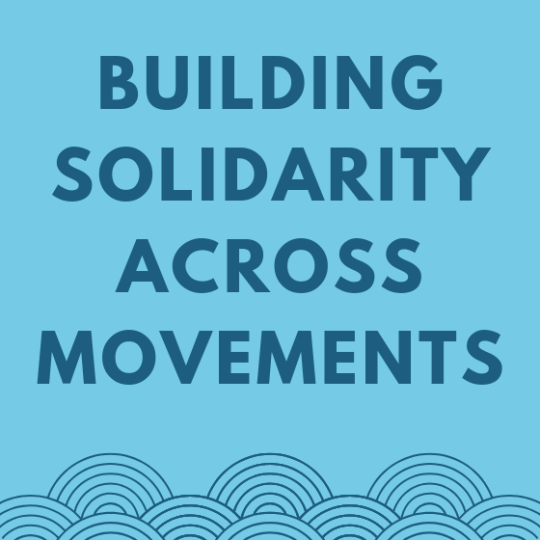 a graphic that reads 'building solidarity across movements'