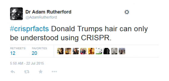 ""Trump's hair tweet