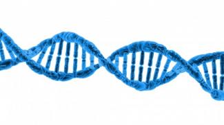 blue DNA double helix