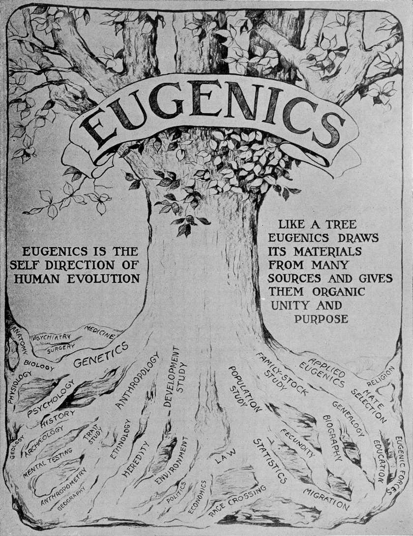 Eugenics tree diagram