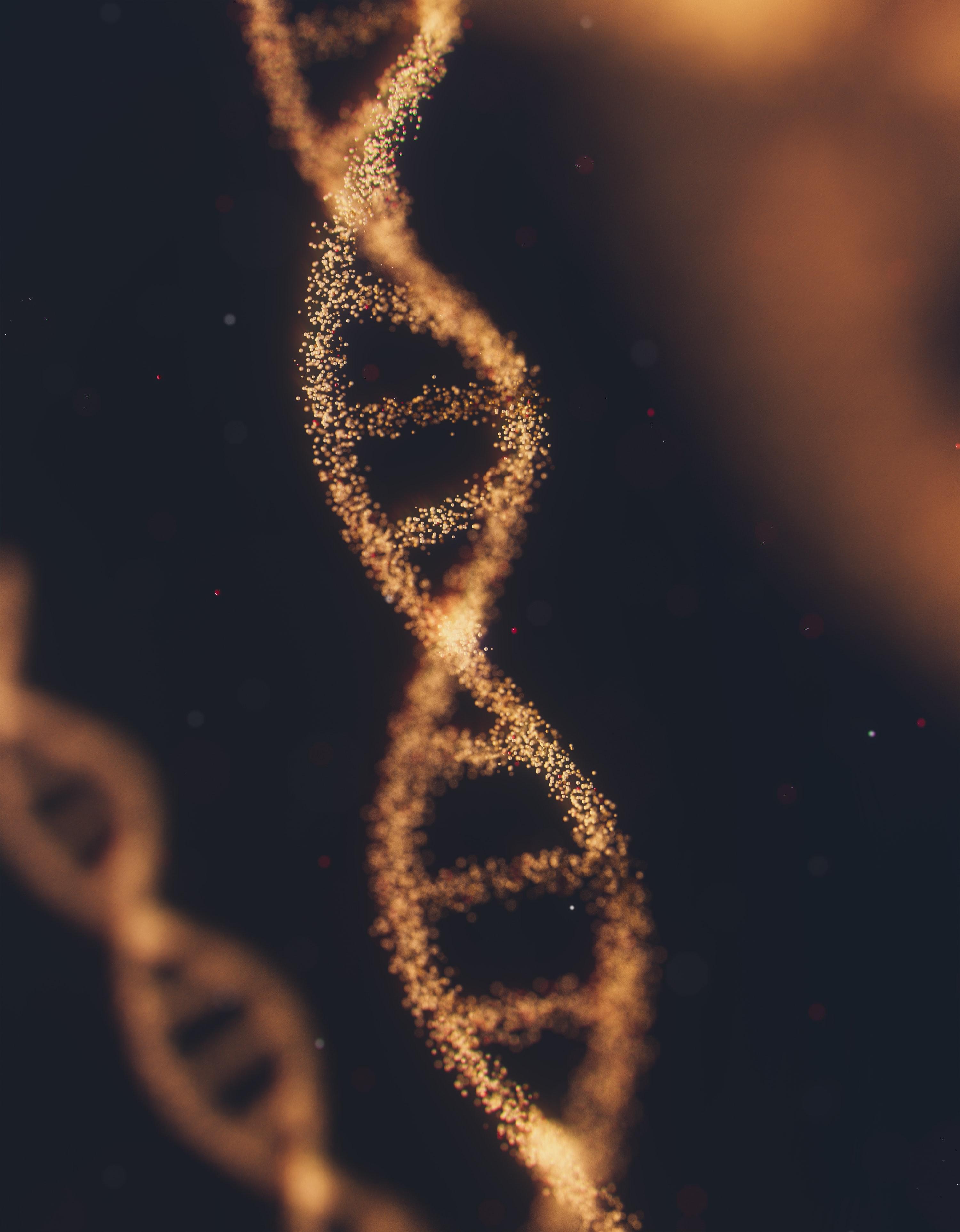 DNA strand on grey background
