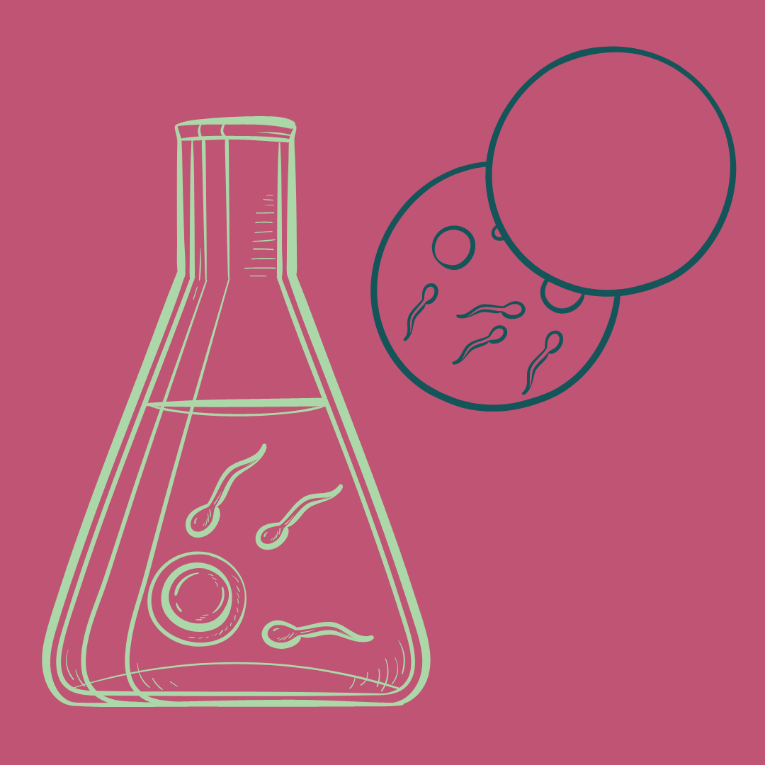 a pink background with a green beaker and a dark green Petri dish with gametes in each