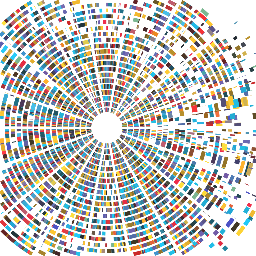 wheel of DNA