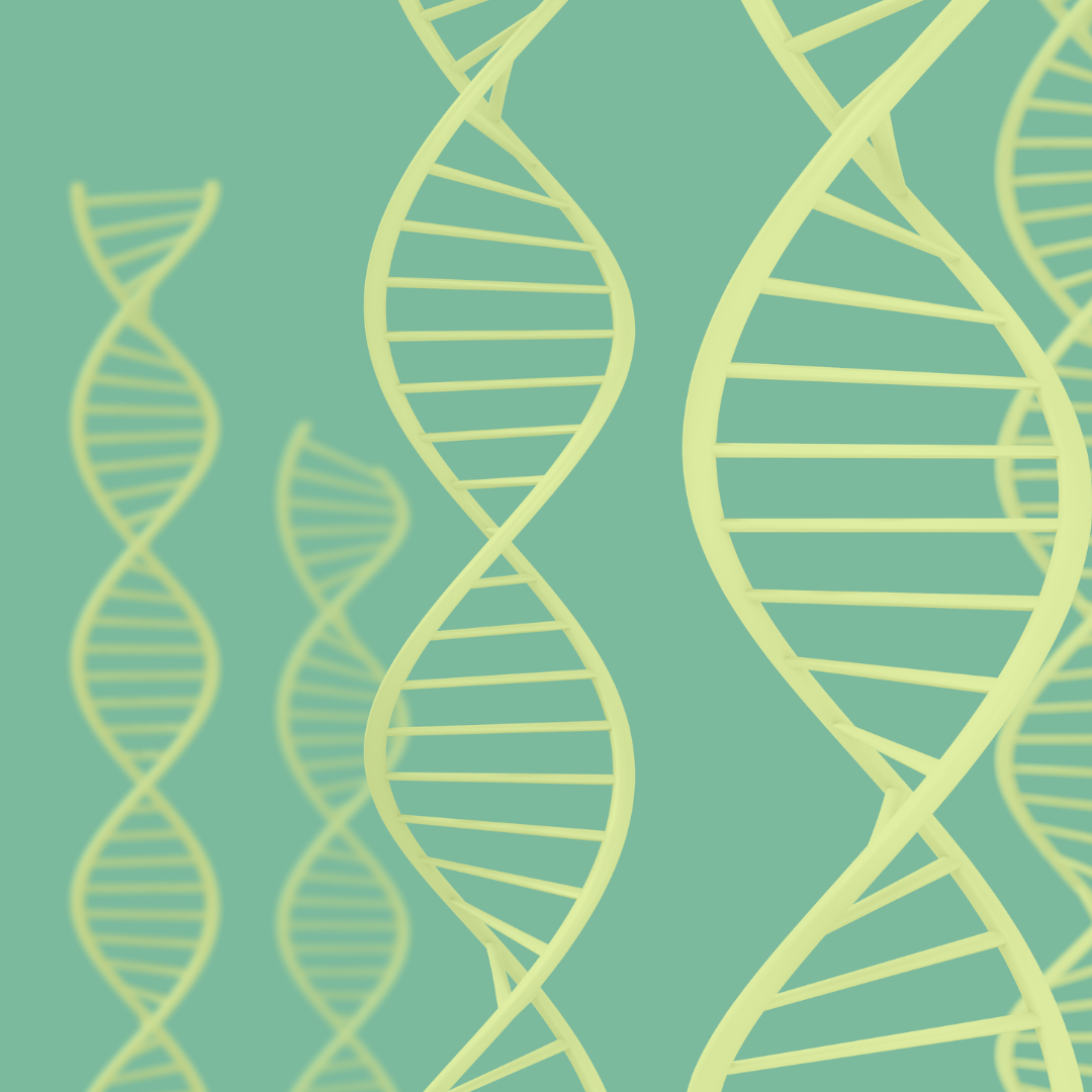 many overlapping strands of DNA