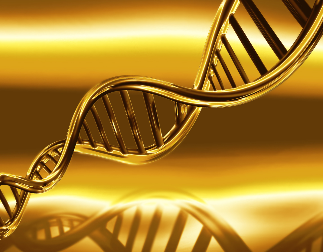 gilt DNA