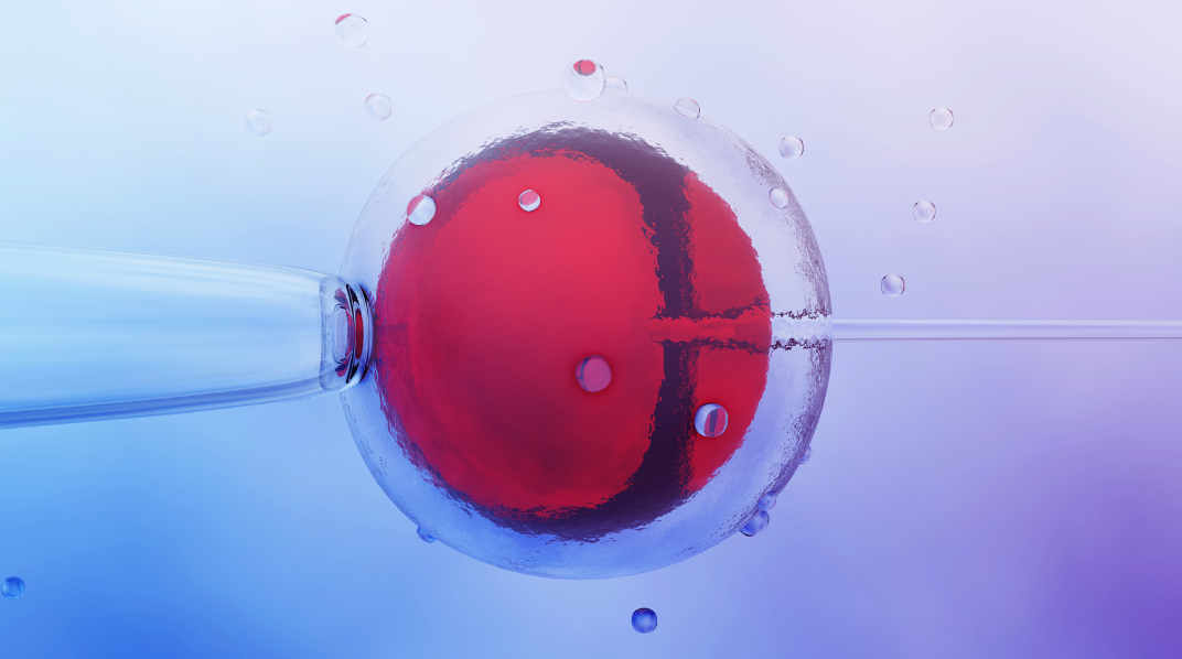 IVF graphic