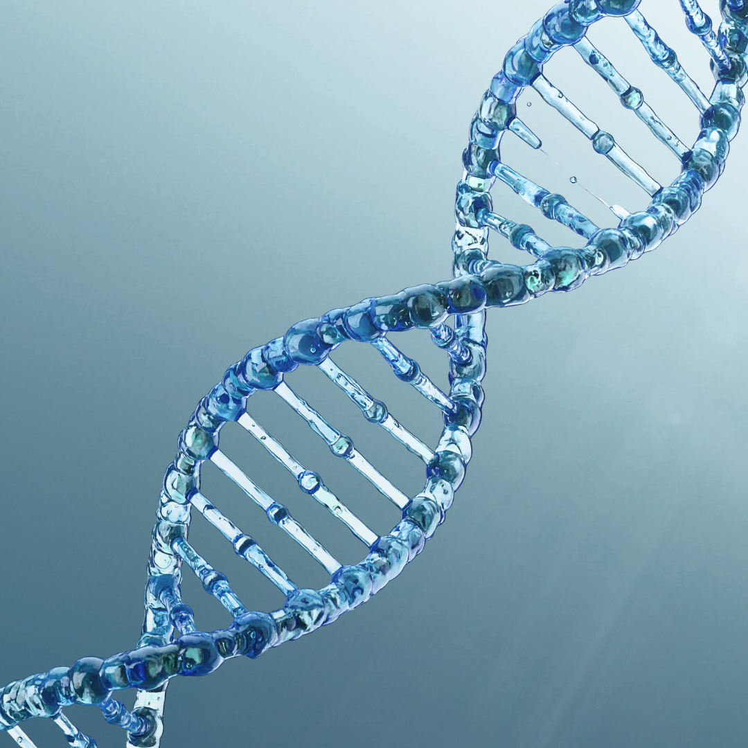 DNA strand