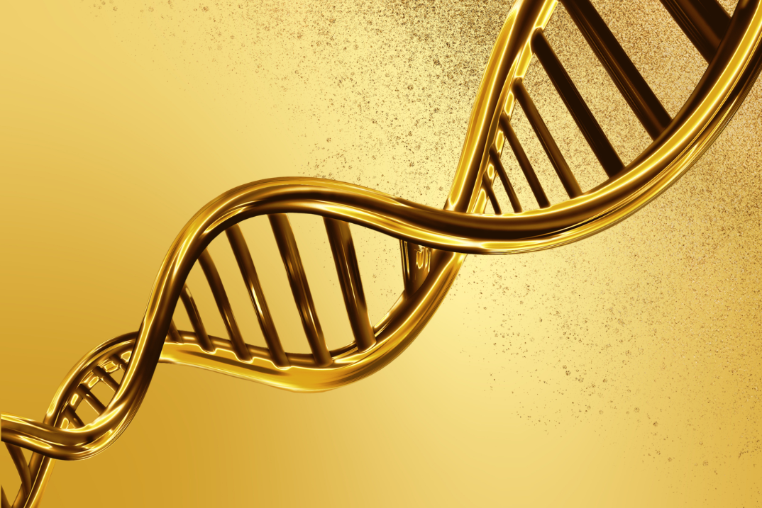 gilt DNA