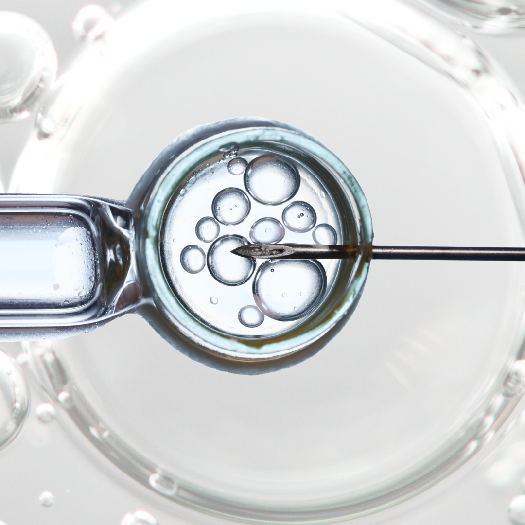 ivf graphic on grey background