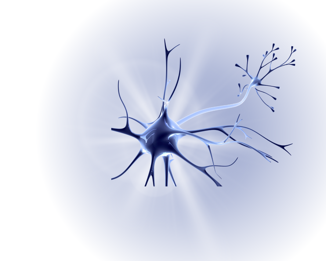 stem cell graphic