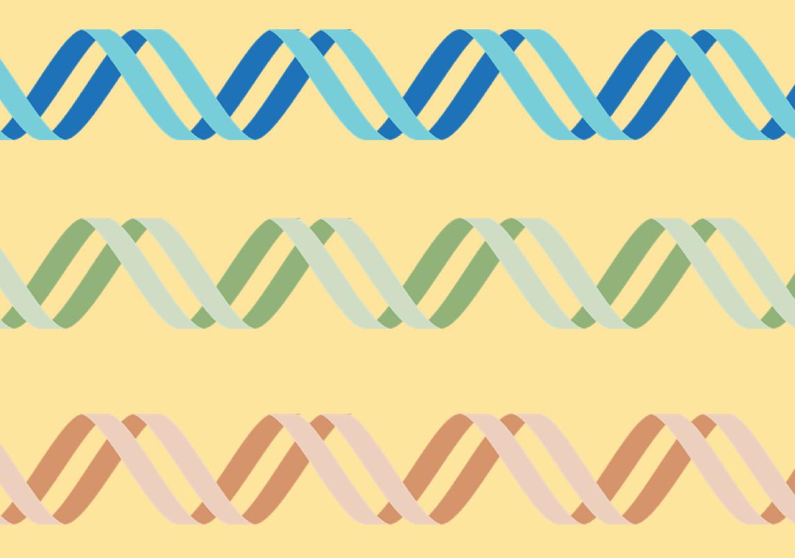 3 different color cartoon drawing of DNA--blue, green, and orange--on a yellow background.