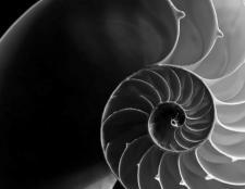 Black and white photo, in bird's eye view, displaying a spiral staircase.