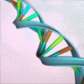 Illustrated image of a DNA molecule.