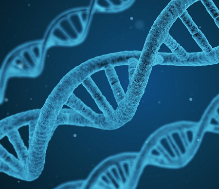 Close up of several strands of DNA in blue color