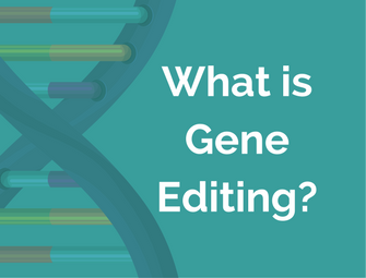 White text "What is Gene Editing" on a teal background with a section of DNA