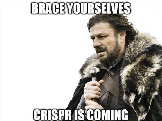 Meme from Lord of the Rings of a warrior with the text "BRACE YOURSELVES, CRISPR IS COMING"