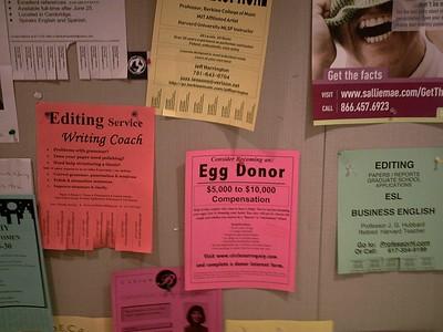 ads on cork board for egg donation