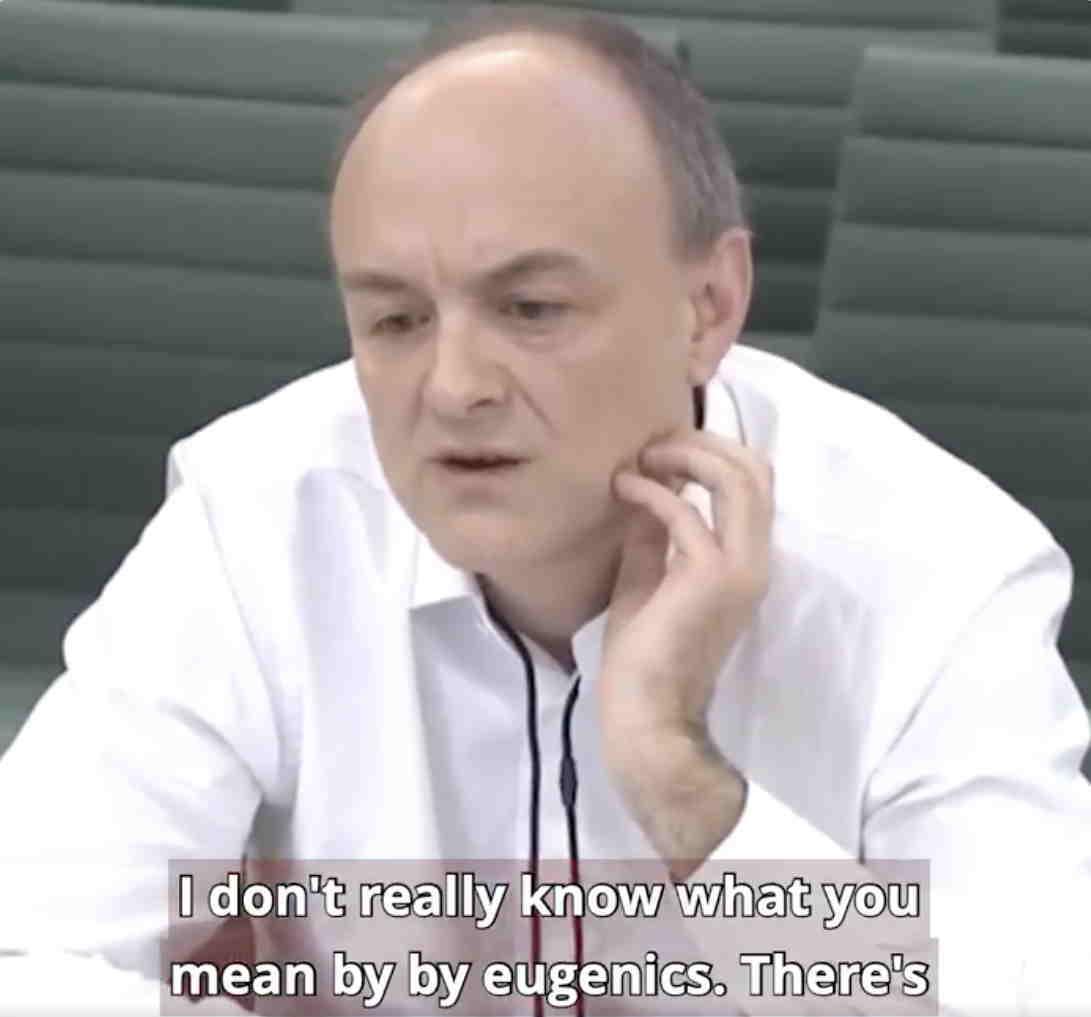 Dominic Cummings testifies