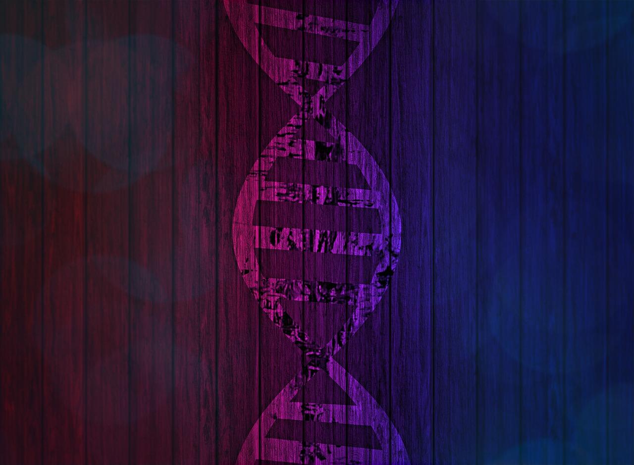 Silhouette of DNA in pink-purple, against a gradient of magenta to blue covered in scratched black vertical lines.