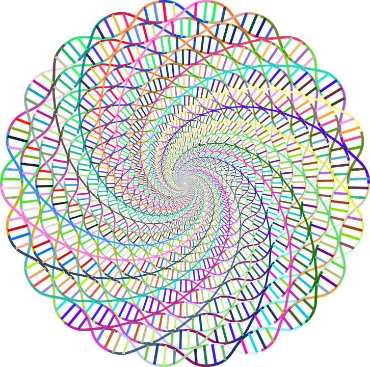 An artist's rendition of multicolored DNA strands forming a circular, mandala-like spiral.